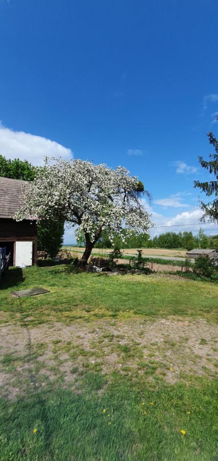 Mazurska Przystan Vila Dąbrówno Exterior foto